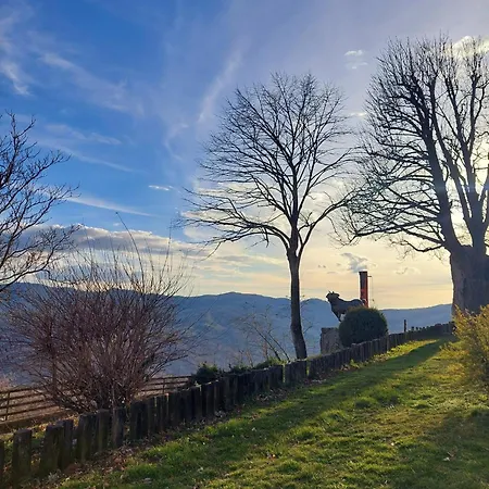 Holiday home Rosa D' Inverno