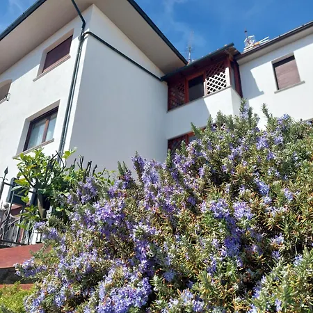Rosa D' Inverno Holiday home